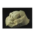 Auguste Rodin, Le Danaide, Sculpture, Art Postc...