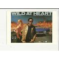 WILD AT HEART Nicolas Cage Poster Art Postcard ...