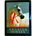 The Majestic World Of Arabian Horses