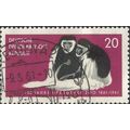 DDR, MAMMAL, Black and White Colobus, pink-violet 1961, 20pf