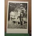 'ALL FORESTERS', THE NEW FOREST HAMPSHIRE unuse...