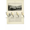 Bath, from Abbey Cemetery, Somerset , Book Illu...