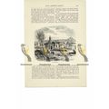Glastonbury, Somerset , Book Illustration (Prin...