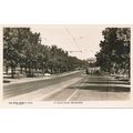 PC18633 St. Kilda Road. Melbourne. The Rose. RP...