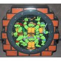 2015 Viacom Teenage Mutant Ninja Turtles Cerami...