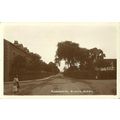 Warwickshire ACOCKS GREEN Summer Road Postcard