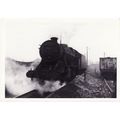 Railway Photo LMS Stanier 8F 48347 Westbury She...
