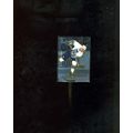 GEOFF SANDERSON #26 1996 PINNACLE Select Certif...