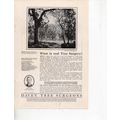 Davey Tree Surgeons vintage Print Ad September ...