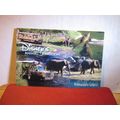 KILIMANJARO SAFARIS, DISNEY'S ANIMAL KINGDOM, F...