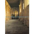 D024964 Muchelney Abbey. Somerset. English Heri...