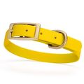 Dog Pet Collar with Brass Hardware Size S W 5/8...