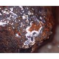 Fluorapatite/Hematite - Hicks Q. South Australi...