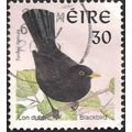 EIRE, BIRDS, Blackbird, white 1998, 30, #3
