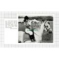 C5445) Jane Bullen Pony Club Coed Coch Pryderi ...
