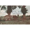 Horse Birthday Wishes Postcard 1918 used VGC