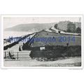 Lawns, Eastbourne, Sussex, England, 1900/10s?, ...