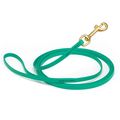Dog Pet Leash Teal w/ Brass Hardware W 3/8" - L10'