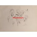 White Egrets, Evert Van Muyden, Book Illustrati...