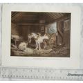 1901 illustration: The Farmer's Stable by Georg...