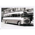 Black & White Photo of Eddie Brown Tours Ltd. o...