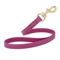 Dog Pet Leash with Brass Hardware W 3/4” L 20”,...