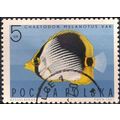 POLAND, FISH, Chaetodon melanotus, green 1967, ...