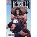 Punisher War Journal (Vol 2) # 014 NM MODERN AG...