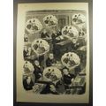 1952 Cartoon by Robert Day - Congress Daydreams