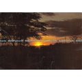D026884 Tropical Sunset. East Africa. 1158. Frank