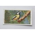 1932 John Player & Sons Wild Birds No. 40 The G...