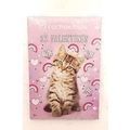 NEW Rachaelhale Images 32 Count Valentines