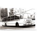 Black & White Photograph of Ribble Motor Servic...