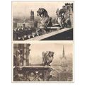 75 - Paris - Notre Dame - 2 cartes postales
