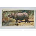1924 Players Natural History card No. 41 Indian...