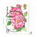GB 1976 SOCIETY ROSES FLOWERS FLORA ROSA MUNDI ...
