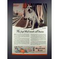 1944 Milwaukee Road Railway Ad - Pup Meets Trains
