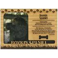 Boykin Spaniel Engraved Wood Picture Frame Magnet