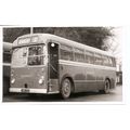 Black & White Photograph of Wilts & Dorset Moto...