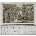 vintage postcard Royal Botanic Gardens, Kew - O...