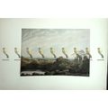 Lake Nemi, By John Robert Cozens, Book Illustra...