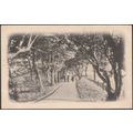 The Ladies' Walk, Hythe, Kent, c.1900s - Pethyb...