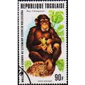 Togo. 1977 90f S.G.1219 Used