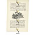 Weston Church, 17thC, Book Illustration (Print)...
