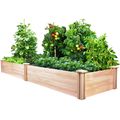 Cedar Wood 2-Ft x 8-Ft Outdoor Raised Garden Be...