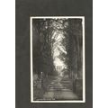 Postcard Gloucestershire Lower Guiting Guiting ...