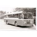 Black & White Photograph of Maidstone & Distric...