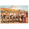 Children on Donkeys Coney Beach Porthcawl Postc...