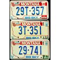 3 Nice Low 3-# Early-Issued MONTANA Bicentennia...