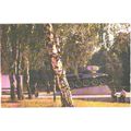 Russia:Kaliningrad, Tank T-34 on statue, 1975